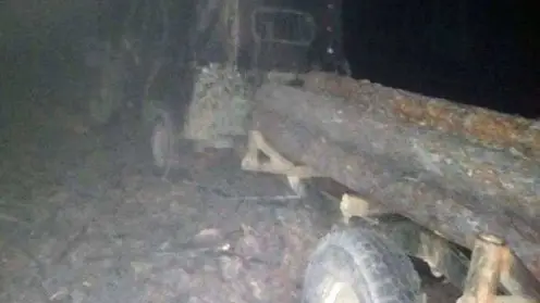 В Бурятии "черные" лесорубы незаконно заготовили древесину на 270 тыс. рублей