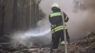 Высокая пожароопасность 4 класса сохраняется в Томской области