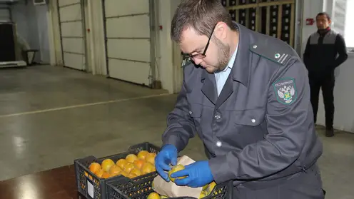В этом году в Красноярский край завезли более 22 тысяч тонн фруктов и овощей из зарубежных стран