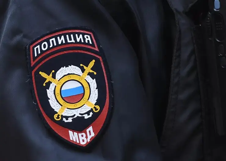 Полиция задержала мошенников, обманувших 30 жителей Иркутска в фейковом интернет-магазине
