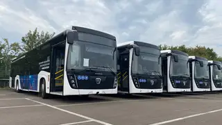 В Красноярске на маршрутах 49 и 87 появятся новые автобусы