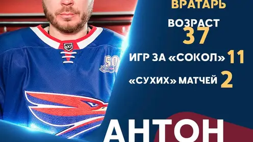 Голкипер ХК «Сокол» Антон Худобин продолжит карьеру в «Сибири»