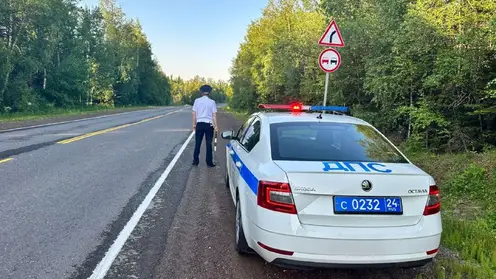 Сотрудники  ГИБДД и ПДН Красноярска проверяют водителей на соблюдение правил перевозки детей