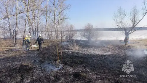 Красноярцев предупредили о штрафах за сжигание сухой травы и мусора