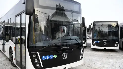 В Красноярске в феврале планируют запустить электробусы