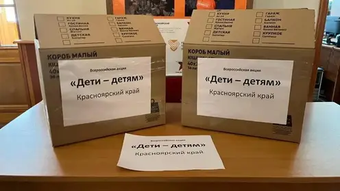 Жители Красноярска могут отдать свои книги детям из ДНР и ЛНР